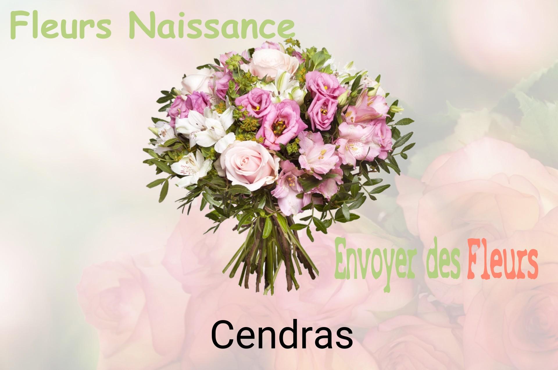 Bouquet de fleurs de naissance livré à Cendras